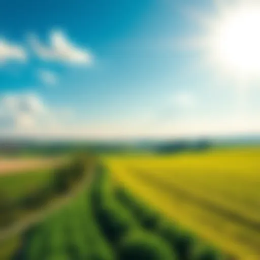 A sunny landscape with green fields and clear skies, symbolizing positivity and hope for the future.