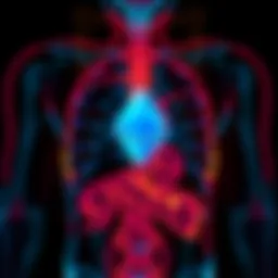 A medical CT scan showing a person's internal structure with a digital Ethereum logo overlay, representing the analysis of health effects from crypto investment.