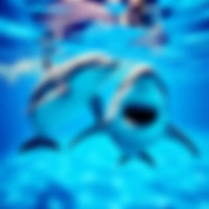 A dolphin and a shark swimming in water, representing cryptocurrency holders