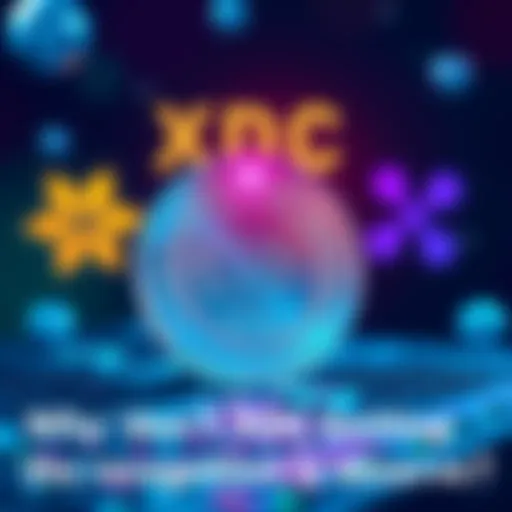 Visual representation of the XDC token showing partnerships and sponsorships in the crypto market with logos of XLM and XRP in the background